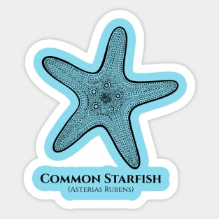 Common Starfish with Common and Scientific Name Sticker